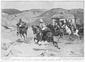 Lichtenberg: PAGET'S HORSE IN ACTION