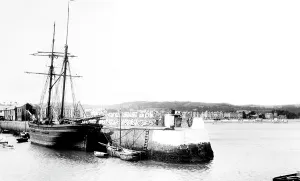 Paignton: Paignton, the Harbour 1890
