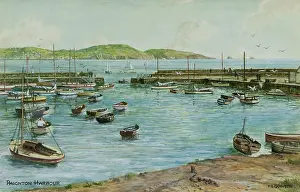 Paignton: Paignton Harbour, Devon