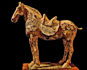 Twisted: Painted Horse