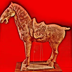 Drooping: Painted Horse
