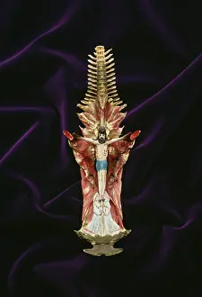 Catfish: Painted skull of Arius sp. crucifix fish