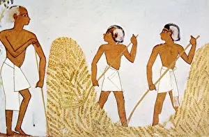 Menna: Painting of farmers working in the fields ?