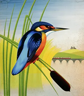 Vivid: Painting of a kingfisher