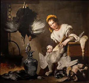 Strada: Painting, Musei di Strada Nuova, Palazzo Rosso, Genoa, Italy