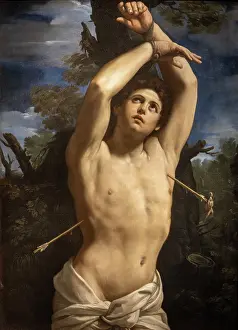 Strada: Painting, Musei di Strada Nuova, Palazzo Rosso, Genoa, Italy