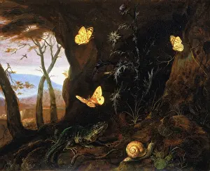 Storerooms: Painting by Otto Marseus Van