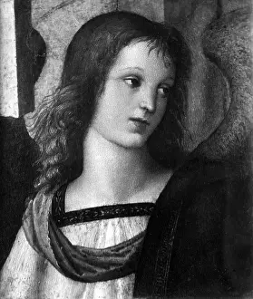 Urbino: Detail from a painting by Raphael