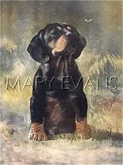 Simonsen: PAINTING BY SIMONSEN