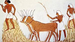 Menna: Painting of workers trading wheat from the ?