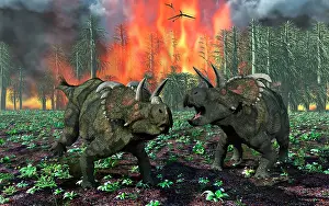 Nesmoi: A pair of Albertaceratops running away from a forest fire