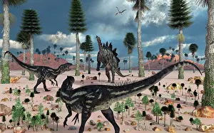 Stegosaurus: A pair of Allosaurus dinosaurs confront a lone Stegosaurus