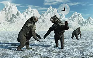 Faced: A pair of Arctodus Bears in a territorial dispute