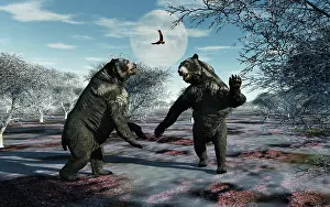 Rearing: A pair of Arctodus Bears in a territorial dispute