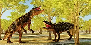 Rearing: A pair of Batrachotomus dinosaurs fighting over territory