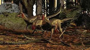 Paleogeography: A pair of Buitreraptor dromaeosaurs of South America