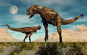 Ceratosaur: A pair of Carnotaurus dinosaurs fighting over territory