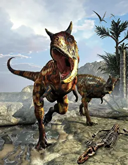 Threat: A pair of Carnotaurus dinosaurs hunting for food