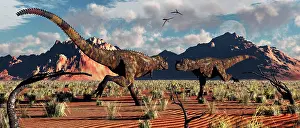 Ceratosaur: A pair of Carnotaurus dinosaurs in a territorial dispute
