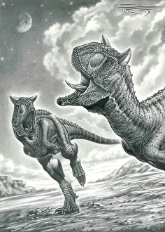 Ceratosaur: Pair of Carnotaurus sastrei dinosaurs