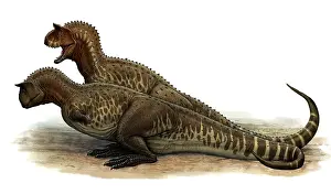 Spiked: Pair of Carnotaurus sastrei dinosaurs