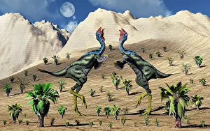 Flirting: A pair of Caudipteryx feathered dinosaurs involved in a ?