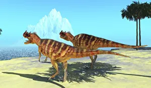 Ceratosaurus: A pair of Ceratosaurus dinosaurs at the edge of