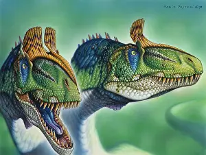Focus: Pair of Cryolophosaurus ellioti dinosaurs