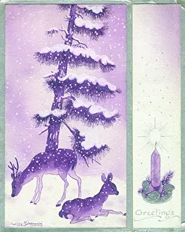 Schermele: Pair of deer in the snow