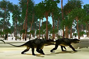 Synapsid: A pair of Doliosauriscus carnivores walking along