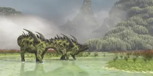 Stegosaur: A pair of Gigantspinosaurus dinosaurs roaming in the ?