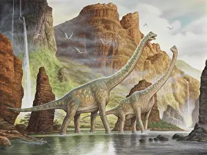 Brancai: A pair of Giraffatitan walking in a valley river