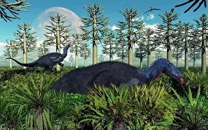 Camptosaurus: A pair of herbivorous Camptosaurus dinosaurs grazing
