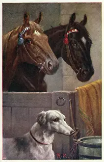 Lurcher: Pair of horses in a stable and a lurcher