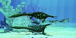 Ichthyosaur: A pair of Hupehsuchus reptiles chasing after a