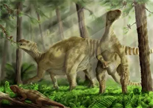 Sunrays: A pair of Iguanodon bernissartensis grazing