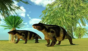 Synapsid: A pair of Jonkeria truculenta walking together