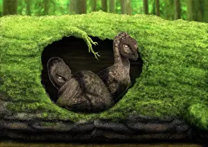Hollow: A pair of juvenile troodons in the hollow of a tree