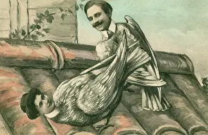 Lovebirds: A pair of lovebirds