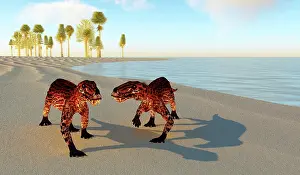 Synapsid: A pair of Lycaenops walking along shoreline during