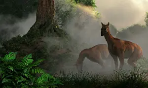 Haze: A pair of Macrauchenia grazing in a prehistoric forest