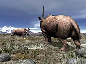 Steppe: A pair of male Elasmotherium confront one another