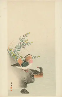 Colouful: A pair of Mandarin Ducks by Oku Bunmei