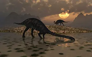 Massospondylus: A pair of Massospondylus at a watering hole