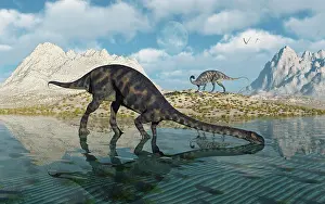 Massospondylus: A pair of Massospondylus at a watering hole