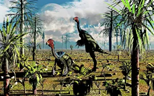 Alertness: A pair of omnivorous Caudipteryx feathered dinosaurs