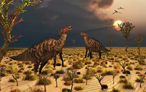 Alertness: A pair of Parasaurolophus duckbill dinosaurs