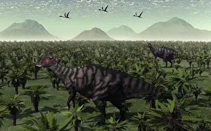 Parasaurolophus: A pair of Parasaurolophus walk through the Cretaceous ?