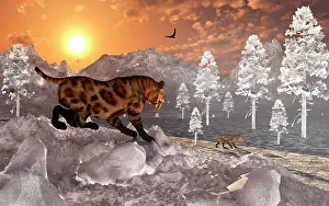 Overlooking: A pair of Sabre Tooth Tigers experience the first signs of ?