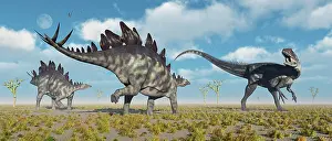 Prowling: A pair of Stegosaurus dinosaurs confronting an Allosaurus